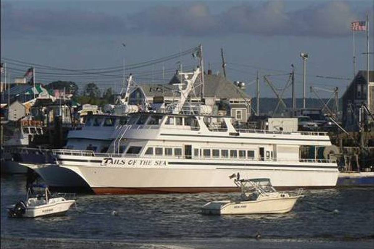 One of the 'whale-watching ' boats