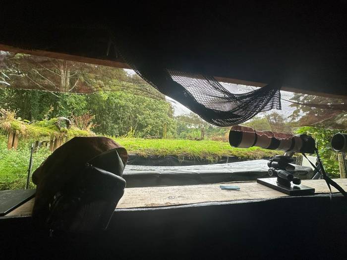 Inside Hide (Paul McDouggall.jpg