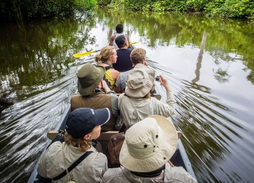 Jungle Activities