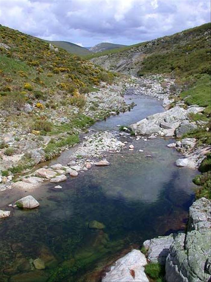 Mountain stream (David Morris)