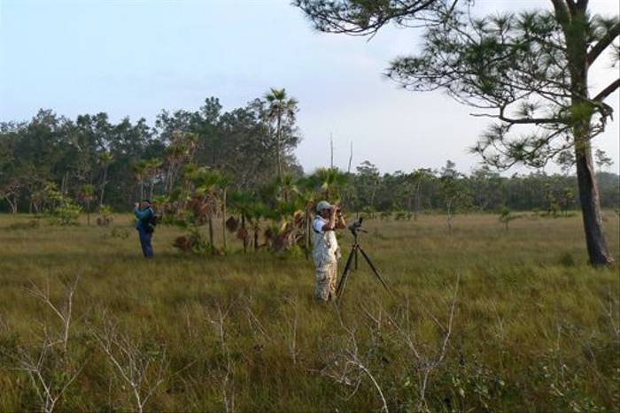 Birdwatching on the Lamanai savannah (Peter Dunn)