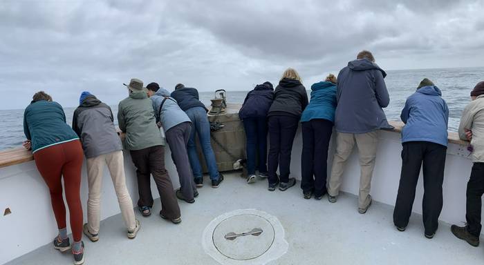 Group watching a Fin Whale (Sara Frost).jpg