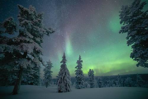 Majestic Northern Lights Personalized store Pet Blanket