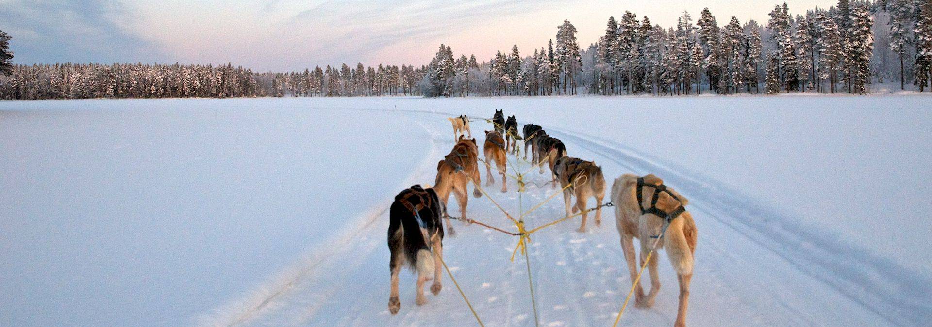 Dogsledding-Graeme-Richardson-17.jpg