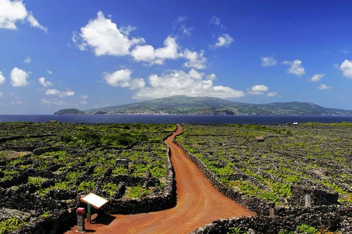 UNESCO Vineyard, Pico, Azores Shutterstock 131557715
