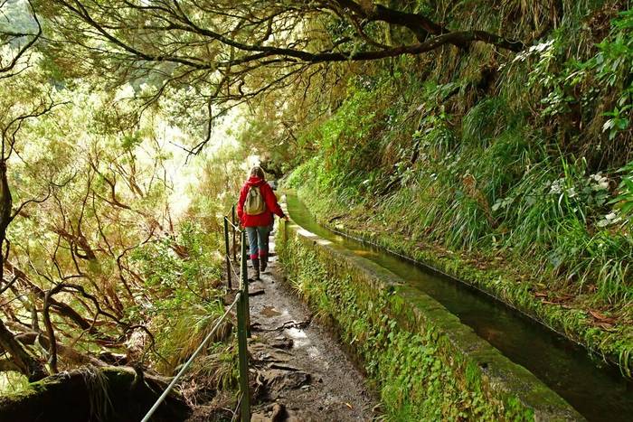 Levada, Madeira shutterstock_1183897534.jpg