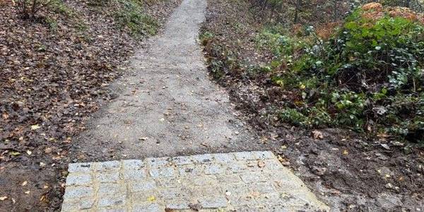 Exmoor views with pony