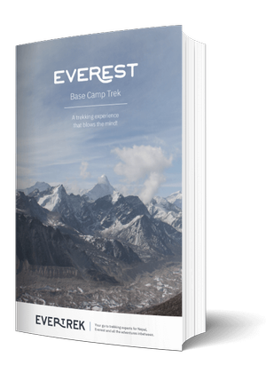 Download the full Trip Guide