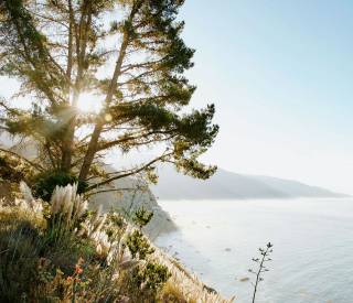 canyon ranch-woodside-california-coast.jpg