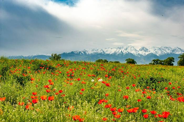 Kazakhstan © M. Valkenburg