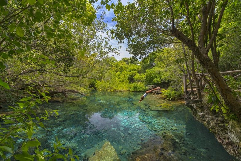 Westin Punta Cana Resort & Club - Indigenous Eyes Ecological Reserve.jpg