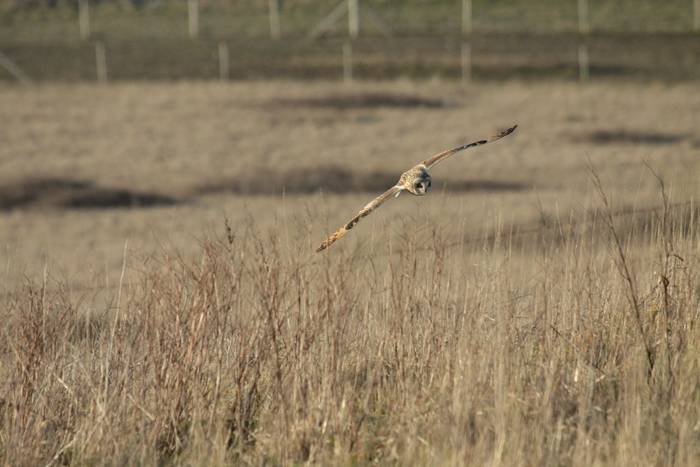 IMG_9670.JPG IMG_9670.JPG