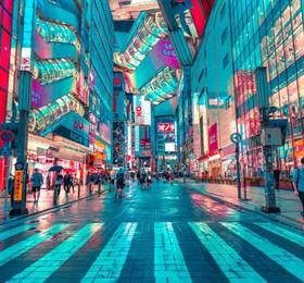 Tokyo: Hotel Stay