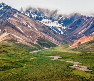 intrepid-walk-denali-national-park-preserve-sterlinglanier-lanier-unsplash.jpg