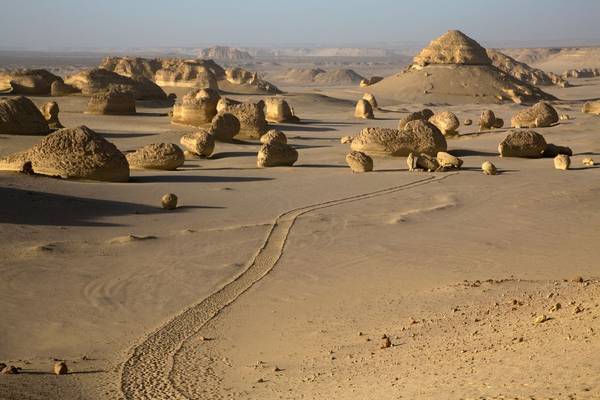 Valley of the Whales, Egypt shutterstock_1481780996.jpg