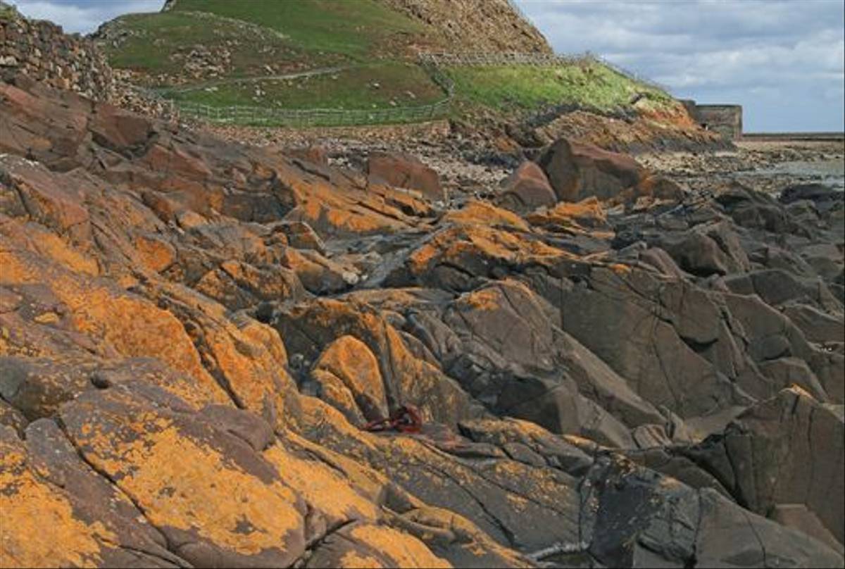 Lindesfarne Castle (© Robert Harvey)