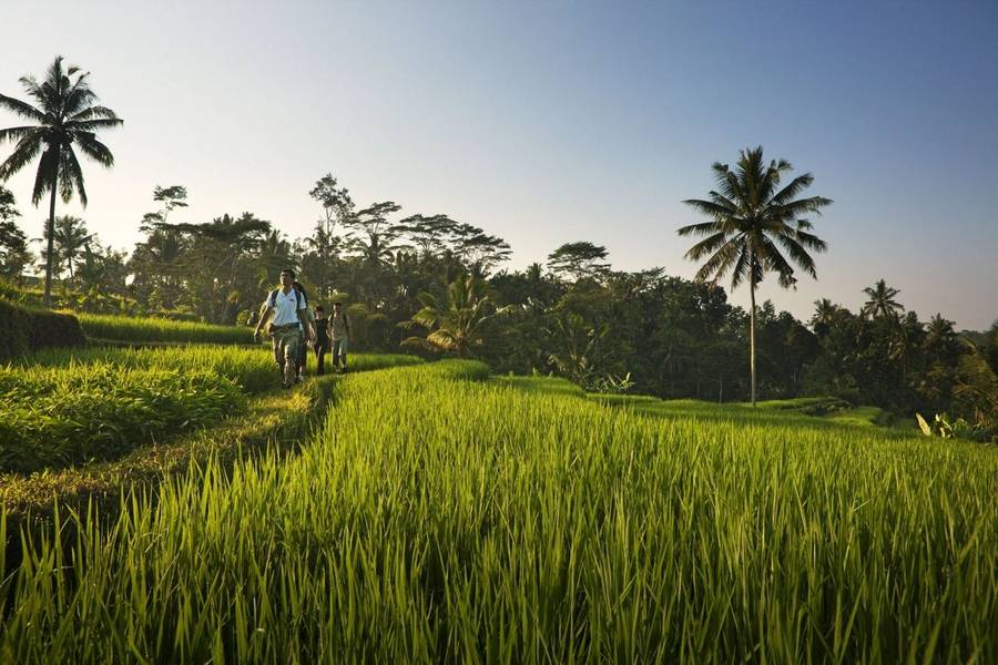 Guided walking tour as part of a wellness holiday