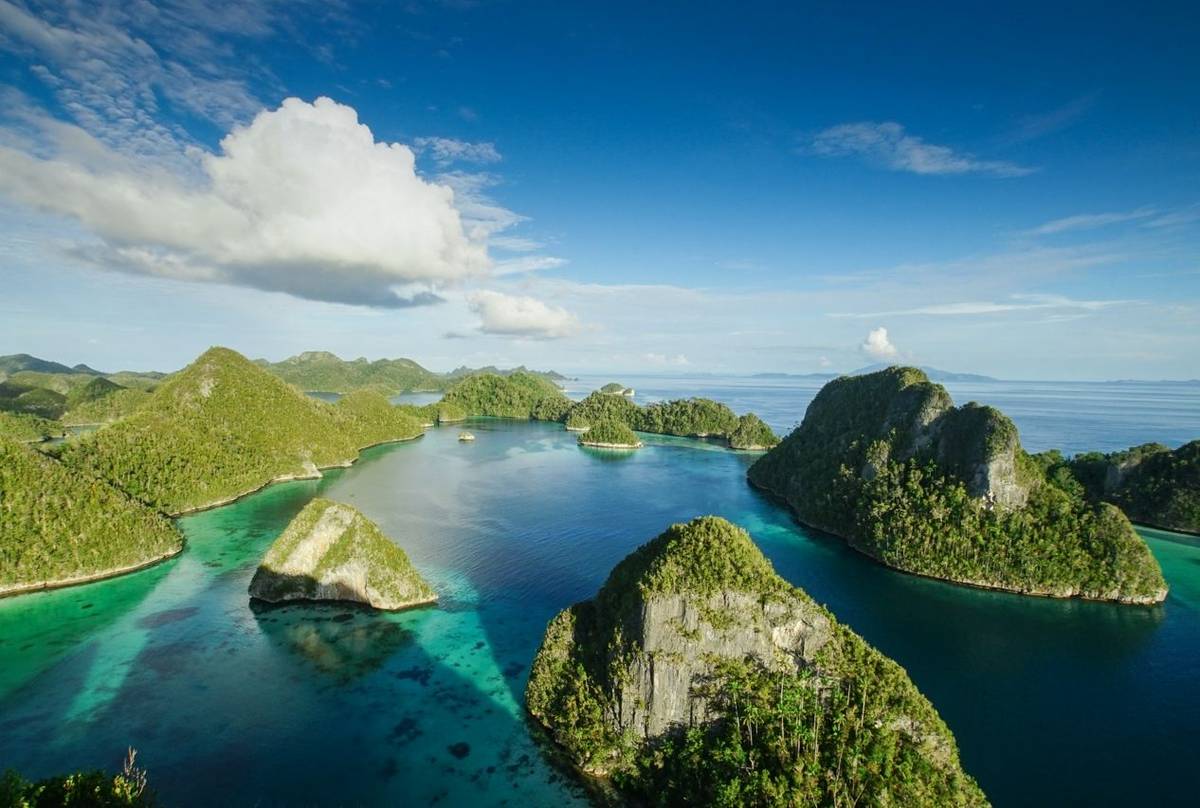 Raja Ampat The Paradise Of West Papua Naturetrek 