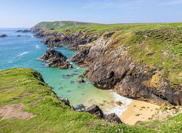 Ireland - Wildlife of Wexford in Spring