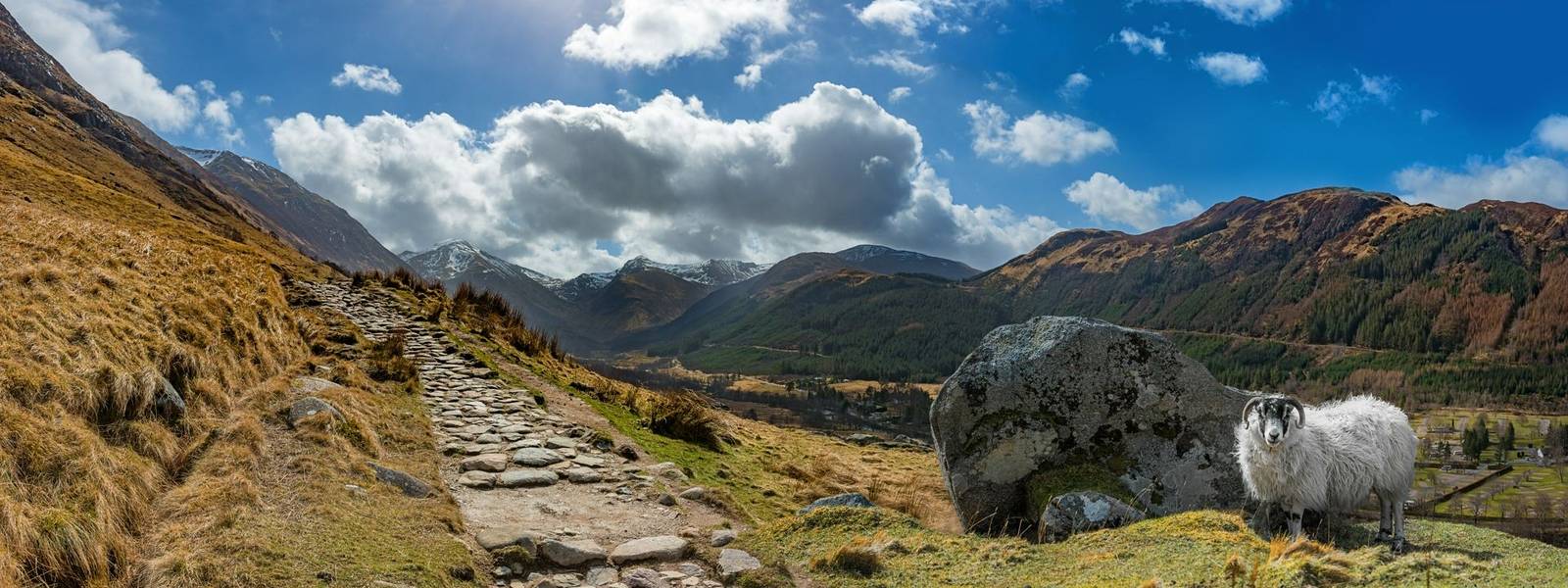 Scottish Highlands - Family - AdobeStock_111152735.jpeg