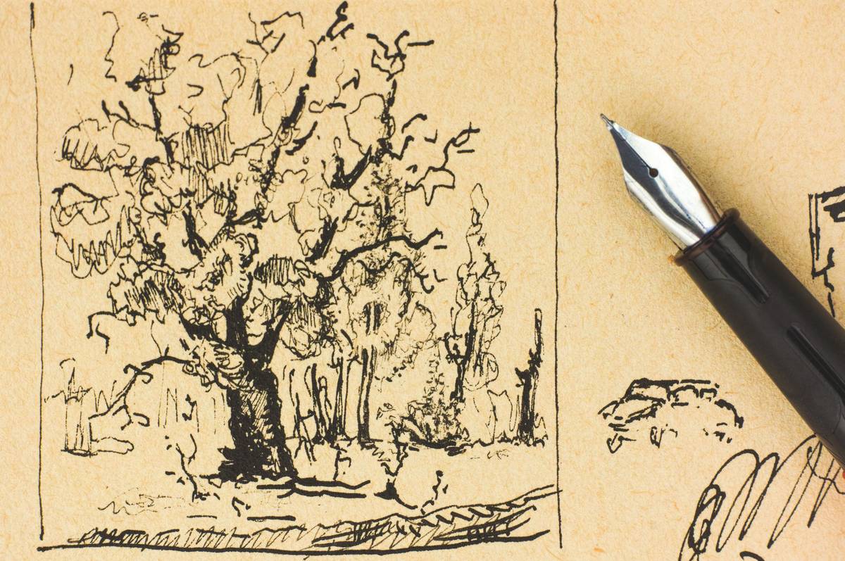 Tree drawing by ink with fountain pen.