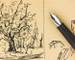 Tree drawing by ink with fountain pen.