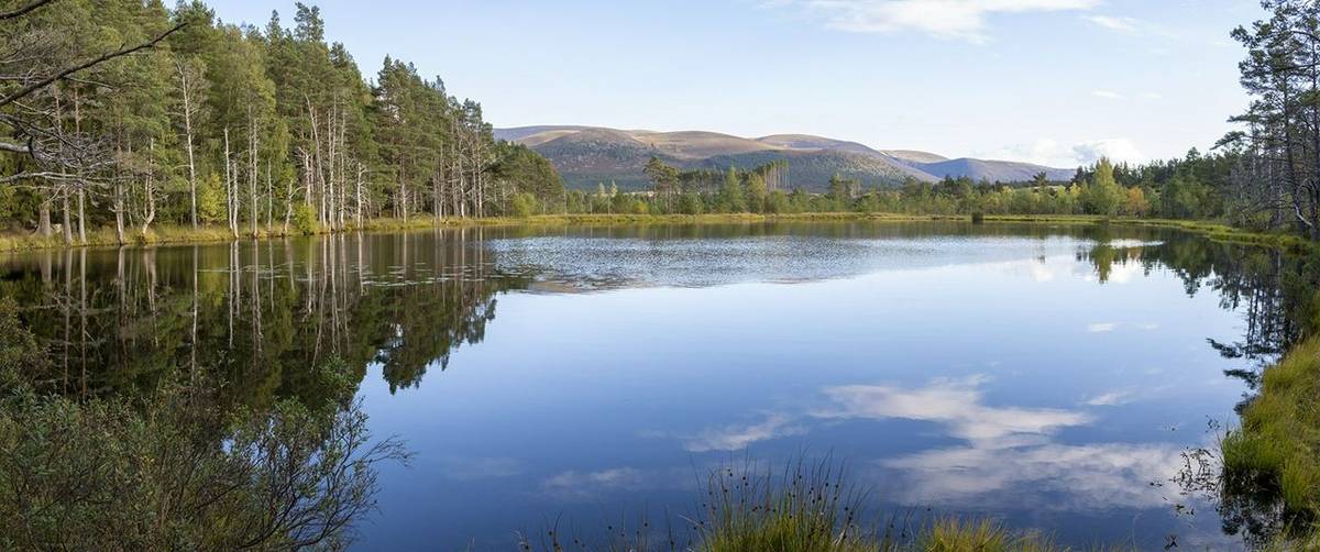 News in Brief: Canada, Cairngorms, Hampshire, Isles of Scilly & Monterey Bay