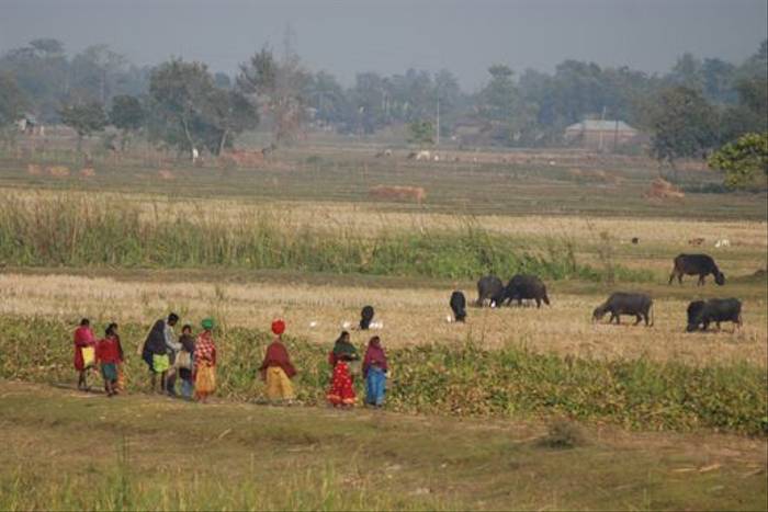 Local farm and villagers near Koshi (Thomas Mills)