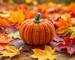 AdobeStock_944412111.jpeg