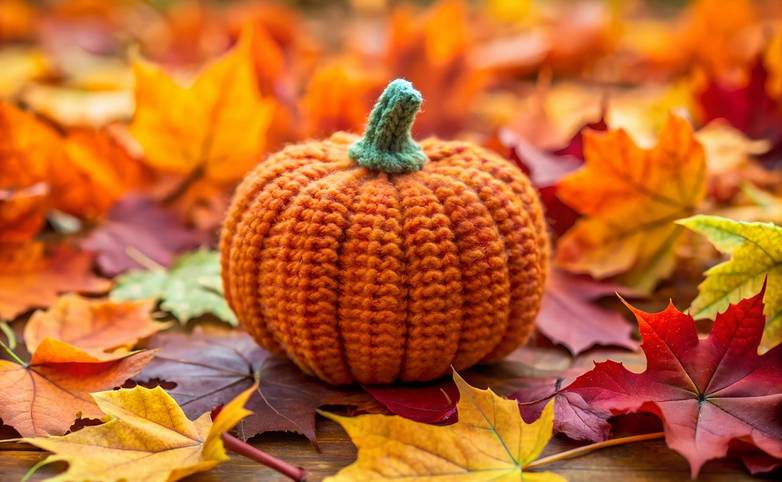 AdobeStock_944412111.jpeg