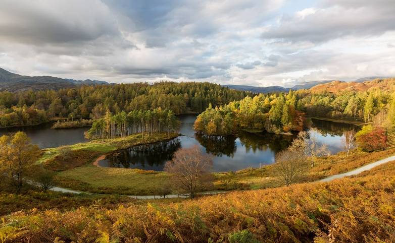 Autumnal View of Tarn Hows in The Lake District, UK
