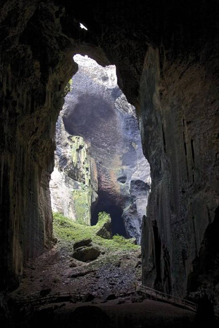 Inside Gomantong Caves (Dani Free)