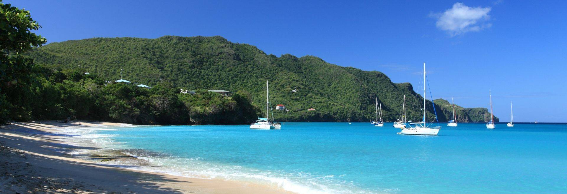 Tropical beach on Bequia Island, St. Vincent in-viewport