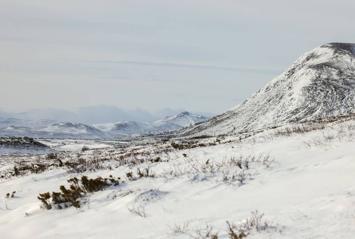 autumn landscape and first snow Dovrefjell National Park Norway
