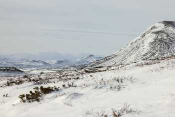 autumn landscape and first snow Dovrefjell National Park Norway