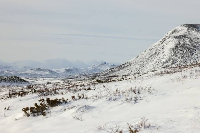 autumn landscape and first snow Dovrefjell National Park Norway