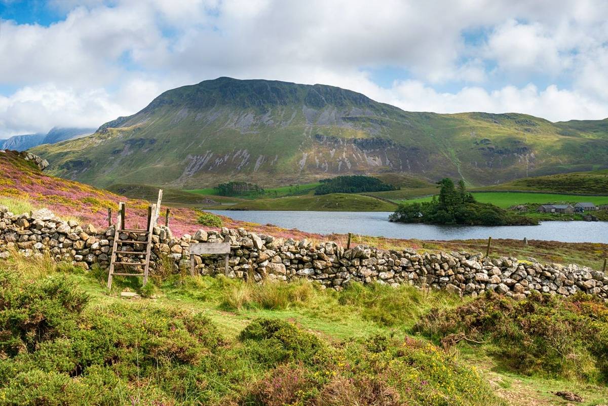 Summer at Cadair Idris near Dolgellau in Snowdonia National Park in Wales