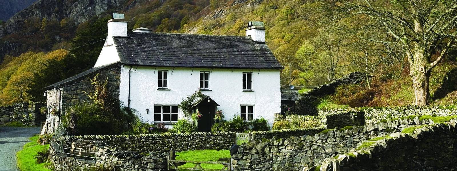 Yew Tree Farm