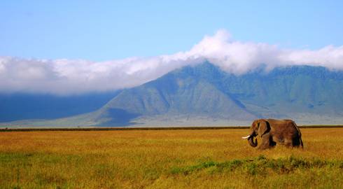 NAIROBI to CAPE TOWN (75 days) Grand Adventurer