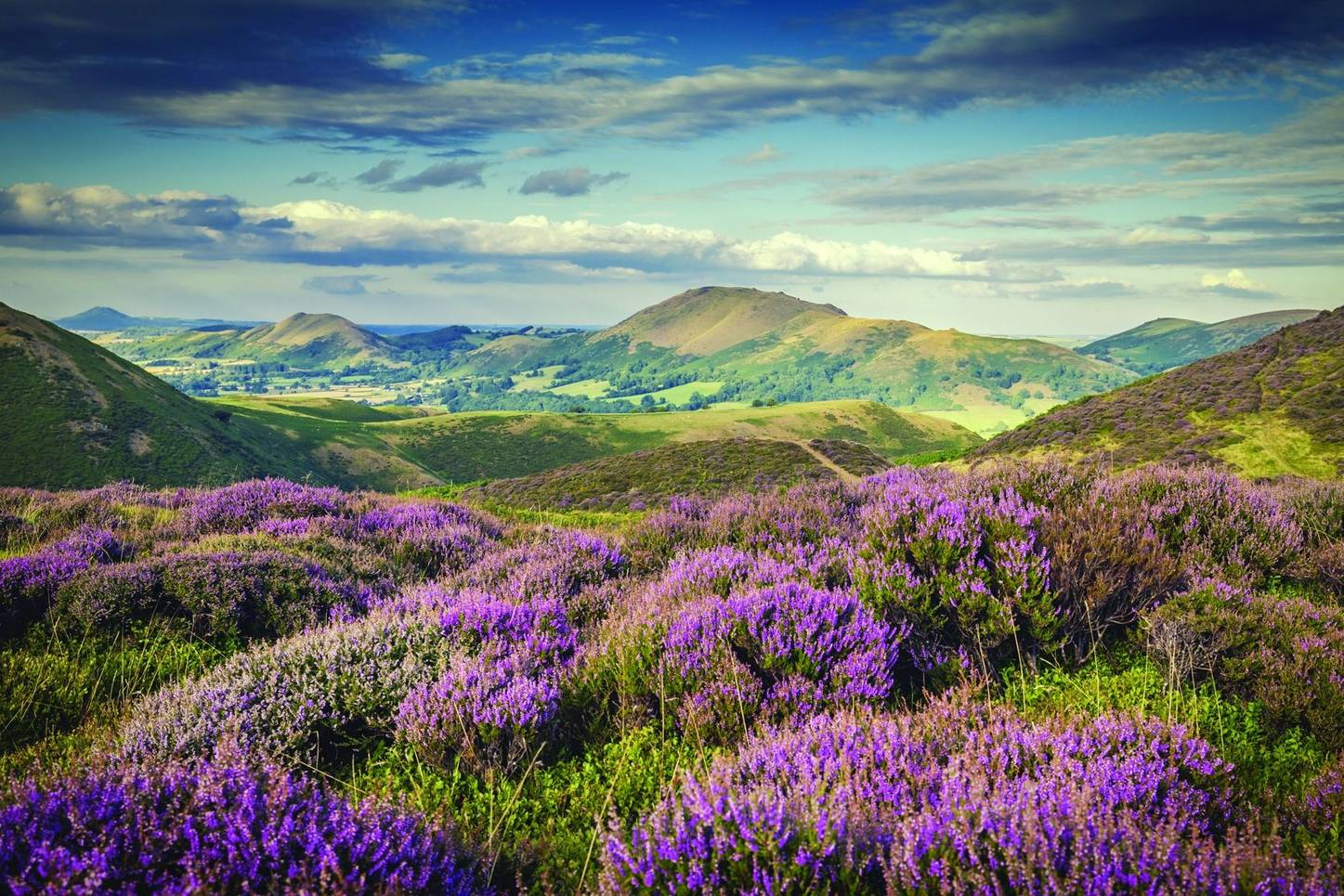 The Long Mynd