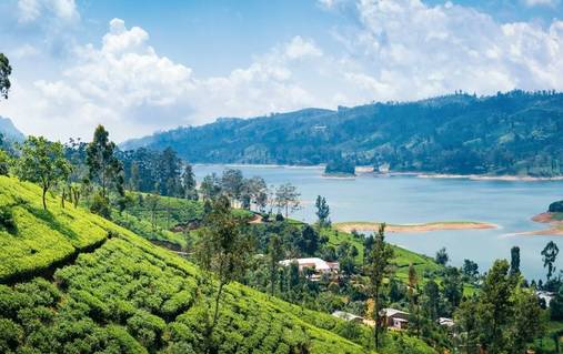 Walking with Sightseeing in Sri Lanka  