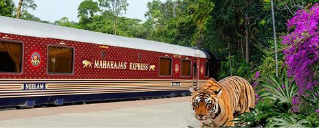 India’s Maharajas’ Express & Luxury Asia Discovery
