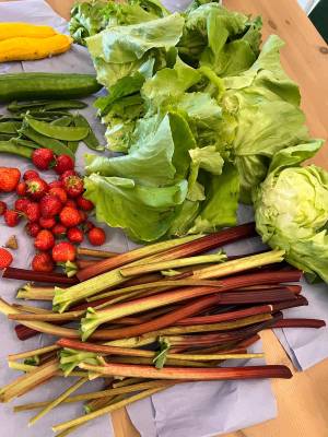 Produce from the garden at Derwent Bank