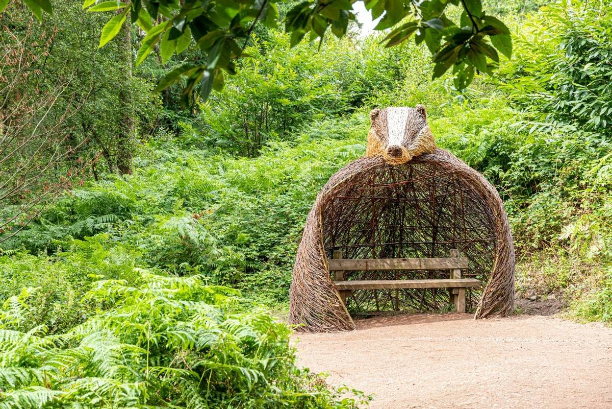 A badger shelter and seat on the Forest to Forest trail in the Forest of Dean at Beechenhurst Lodge near Coleford, Glouceste…