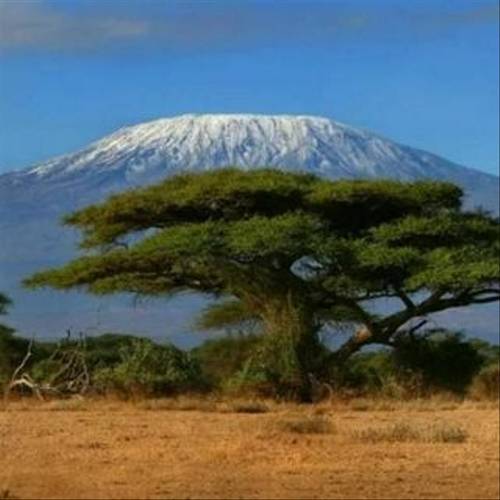 Kilimanjaro's Lemosho Route: Everything You Need To Know