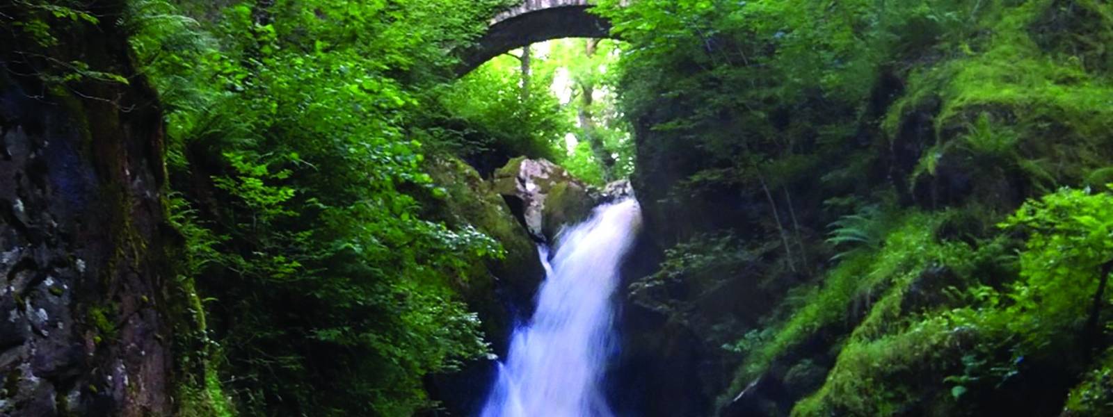 Derwent Bank - Aira Force.jpg