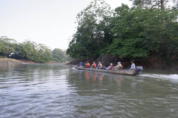 Chucunaque River (Fernando Alba, Canopy Family)