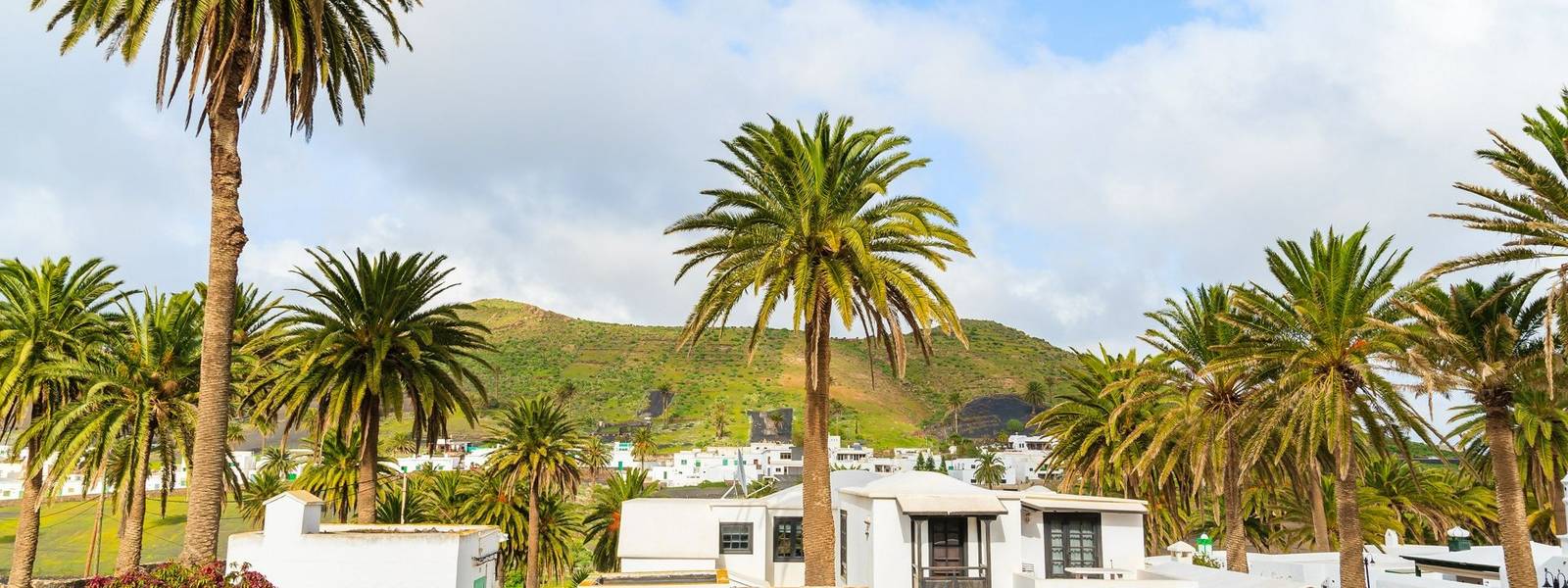 Canary style houses in palm tree landscape of Haria village, Lanzarote island, Spain