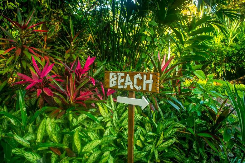 SoCal Wellness Retreats Costa Rica_this way to the beach.jpg