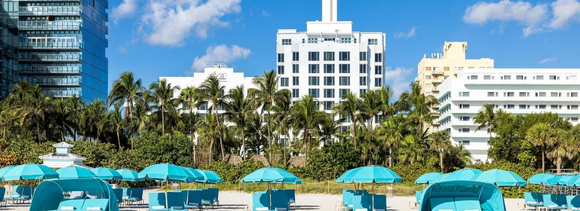 The Palms Hotel & Spa-Beach.jpg